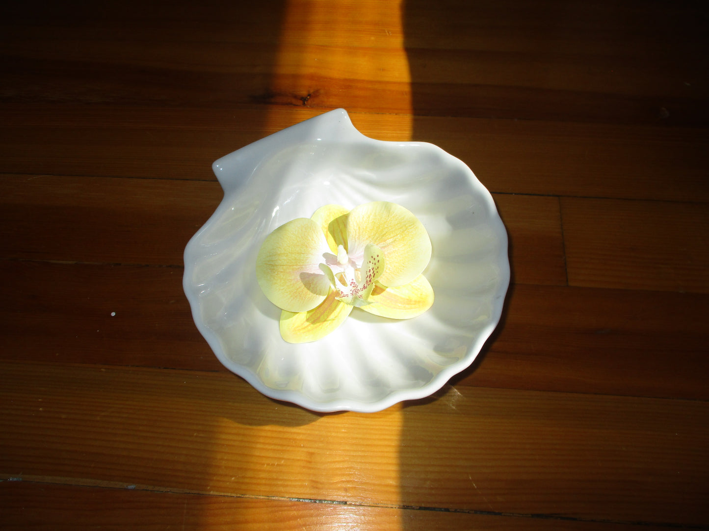 Orchid Hairclip🌷˖˚ ༘𐙚