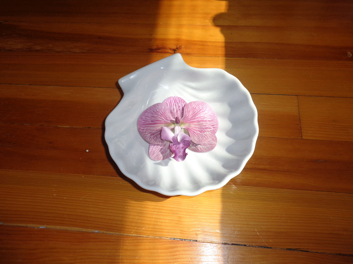 Orchid Hairclip🌷˖˚ ༘𐙚