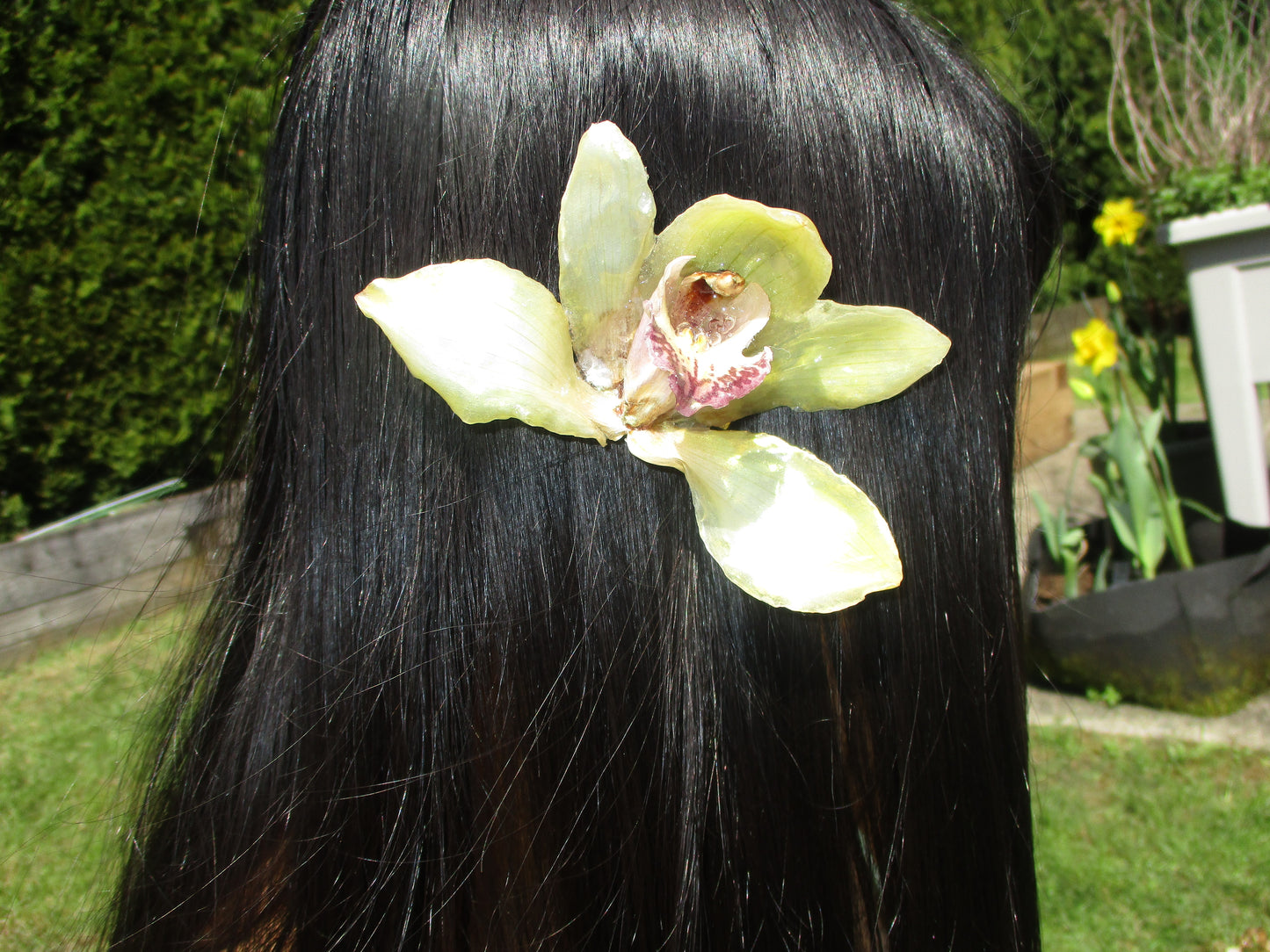Ailed Hair clip 🌱 ₊˚❀༉‧₊˚.