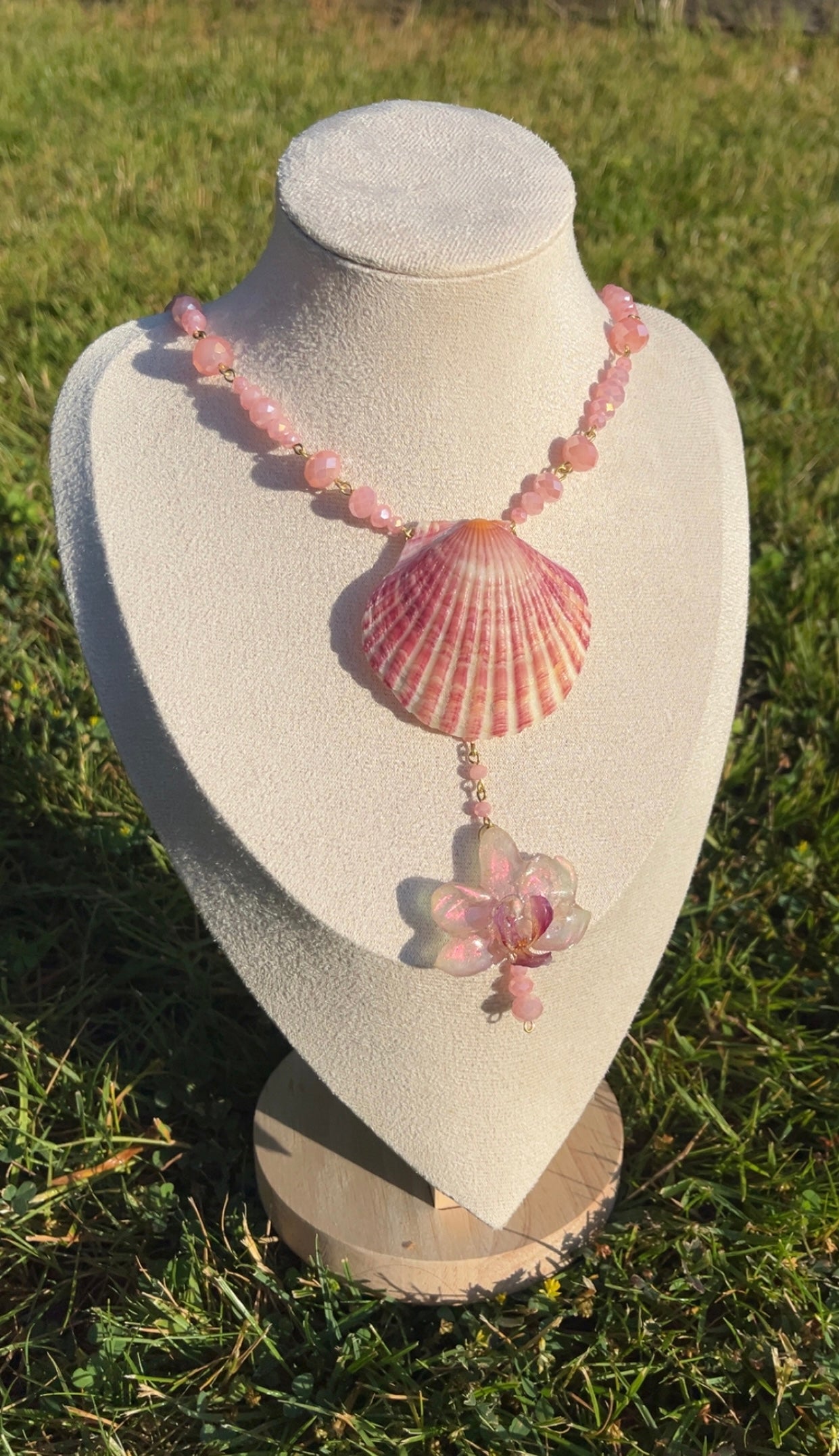 Pink Coral₊˚⊹♡