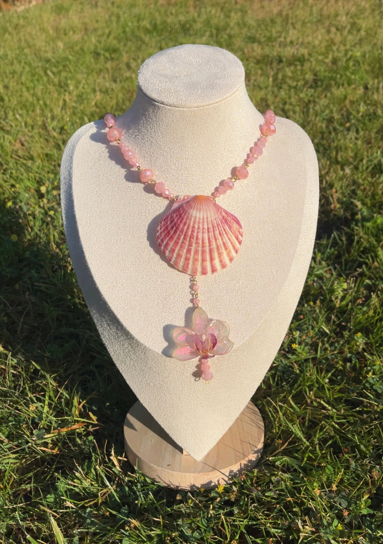Pink Coral₊˚⊹♡