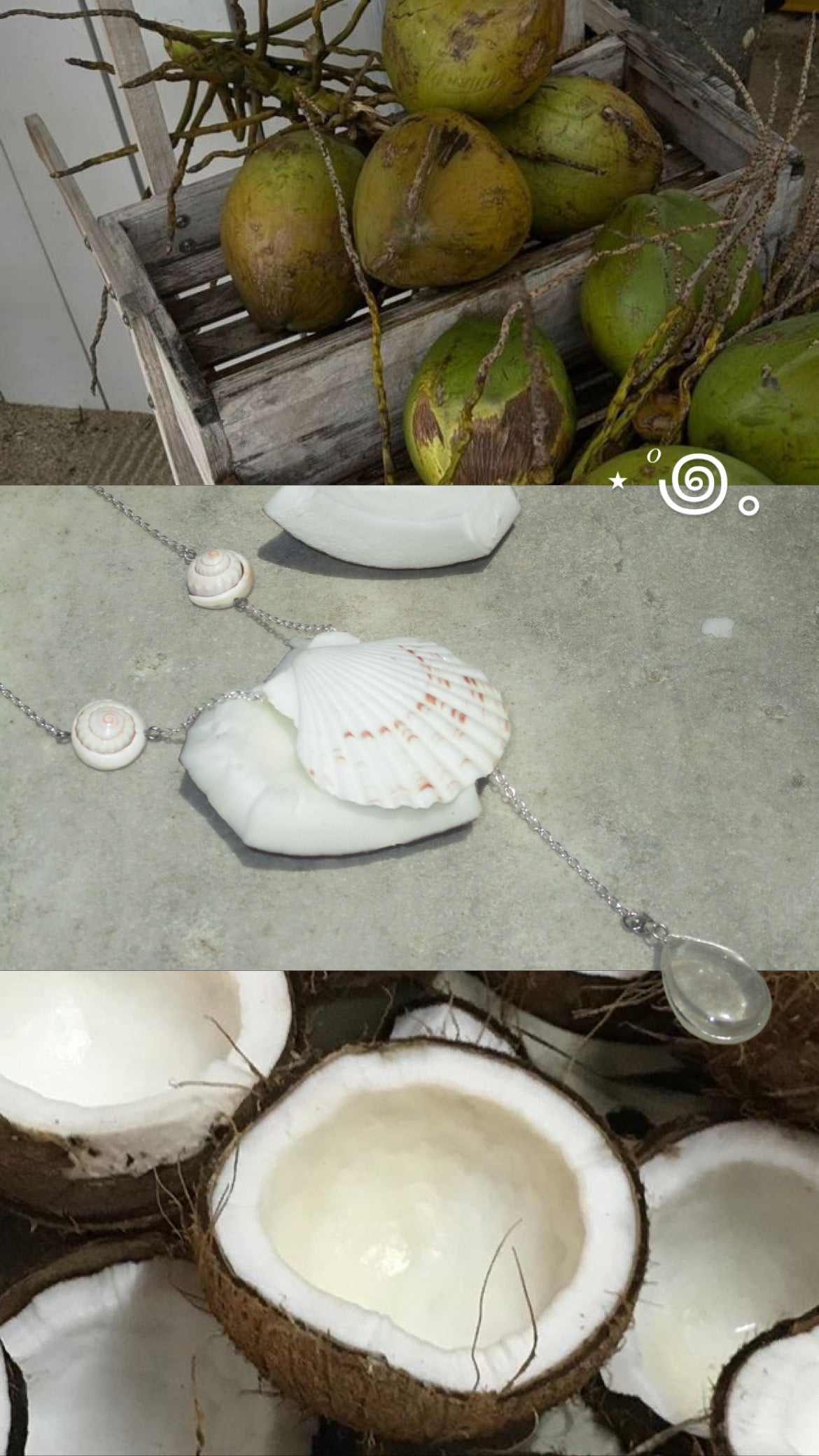 Coco🥥🐚˚꩜｡